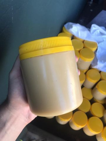 Mel de Abelha Puro- Eucalipto - Direto do produtor - Potes de 1KG - Foto 2