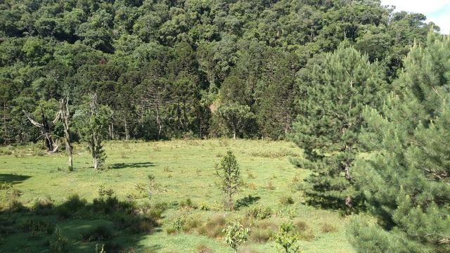 Fazenda Terreno Rural Sitio Chácara Gado - Foto 11