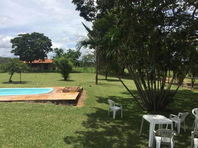 Fazenda 86 hec de área com ótima topografia, piscina em Inimutaba/MG - Foto 8