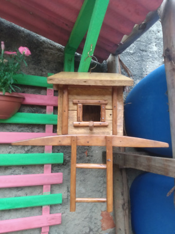 Casas de passarinho - Foto 2