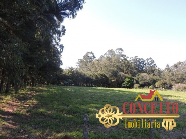 Excelente propriedade com 38.000m² de frente para rua pavimentada - confira - Foto 3