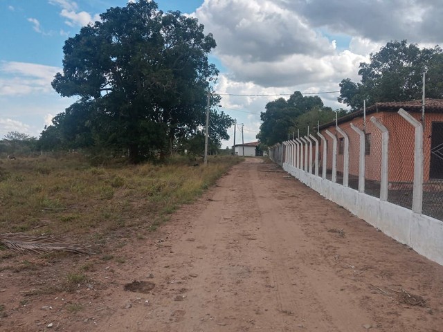 Fazendinha a venda 