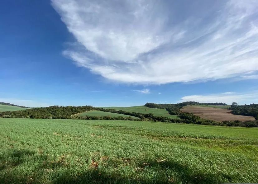 Área Marilândia  do Sul  - Foto 3