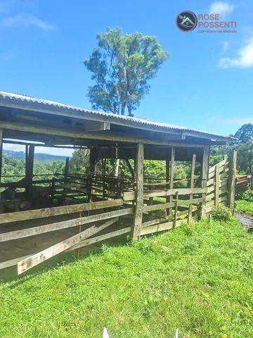 Sítio na Serra Catarinense - 20 hectares - Foto 4