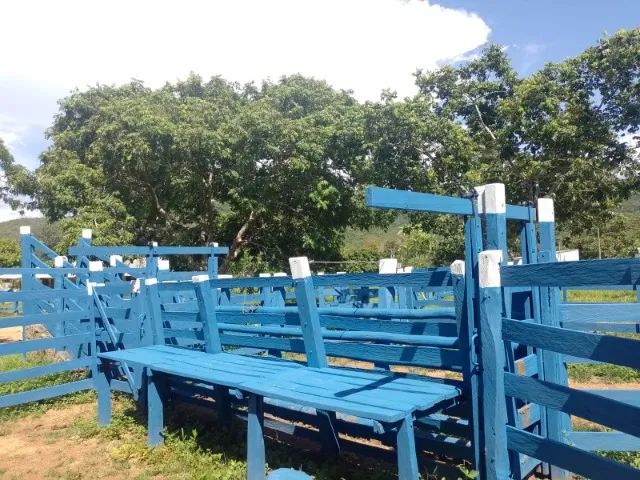 Fazenda buritis mg  formada documentação regular 100 hectares    - Foto 3