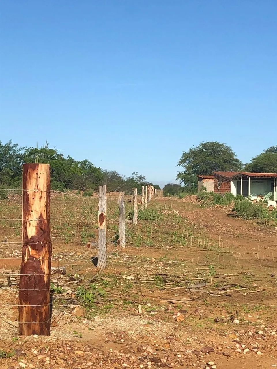 Área em Curaça - BA - Foto 5
