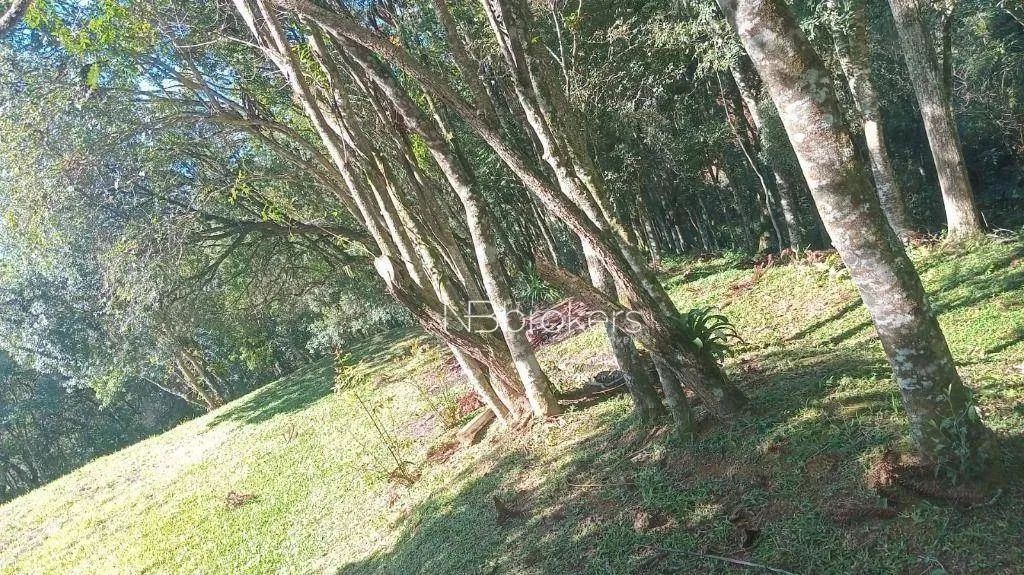Chácara /Roça Velha SJP - Foto 2