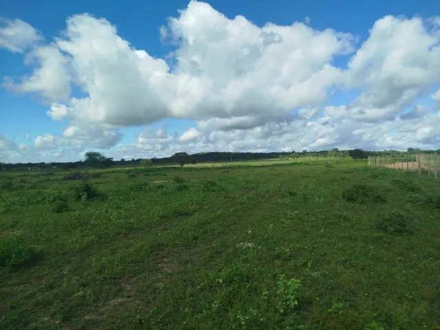 Vendo uma boa terra muito boa
