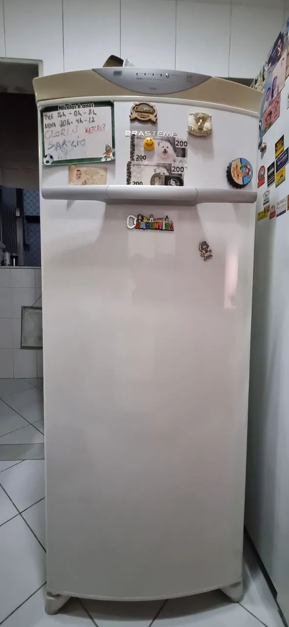 Freezer Frost Free Brastemp