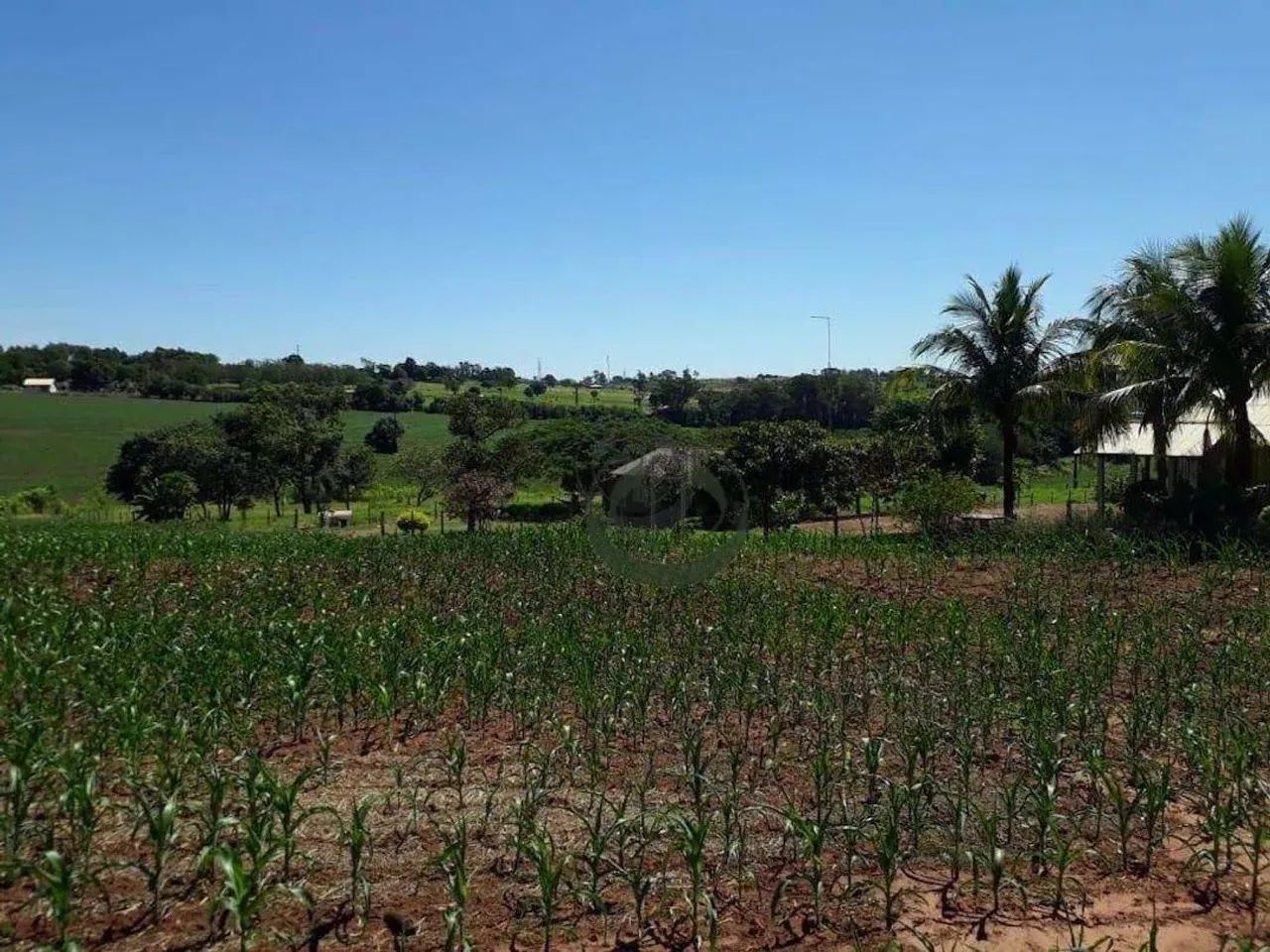 Fazenda à venda, 919600 m² por R$ 22.000.000,00 - Vila - Astorga/PR