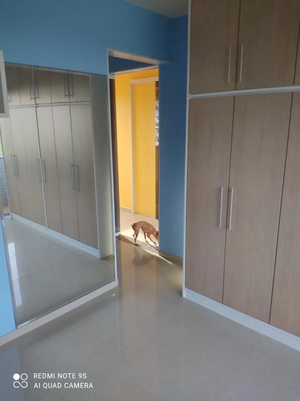 Foto - São José - Forquilhas