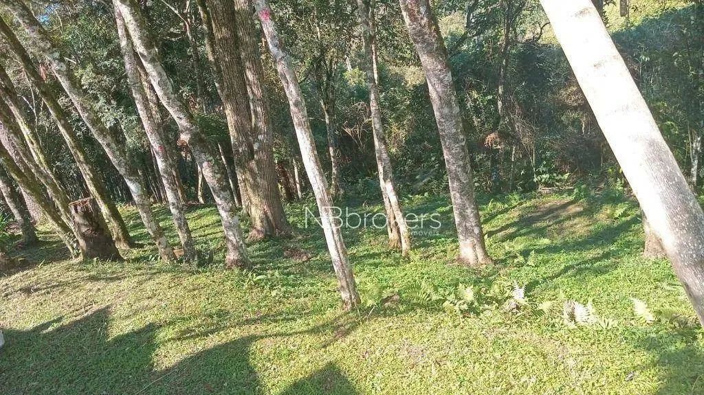 Chácara /Roça Velha SJP - Foto 8