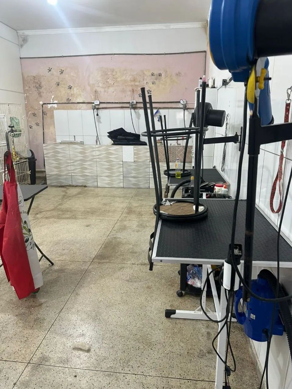 Vende-se loja com banho e tosa completo  - Foto 5