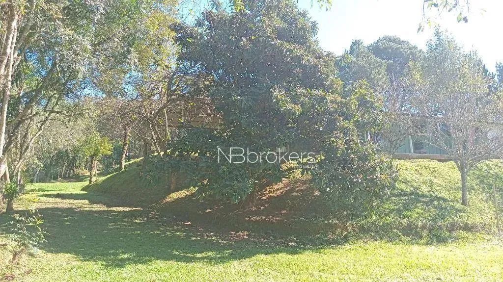 Chácara /Roça Velha SJP - Foto 5