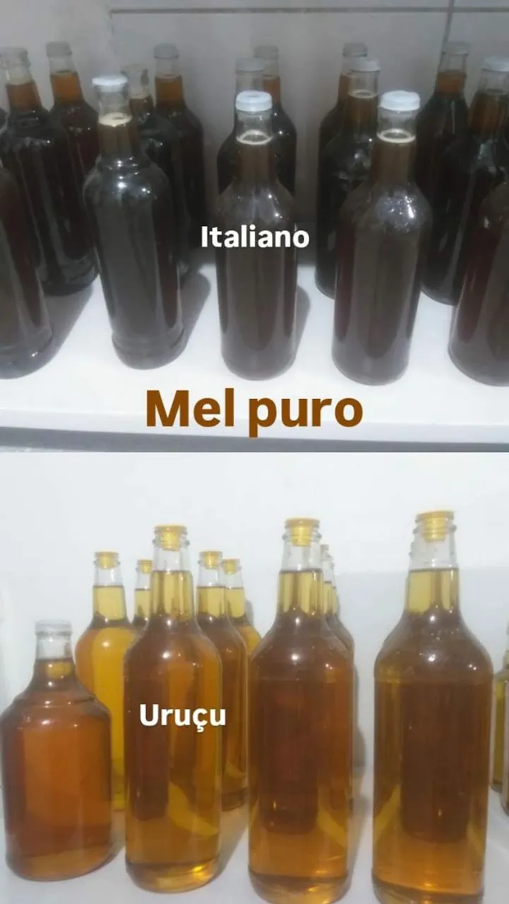 Mel Puro italiano e Uruçu