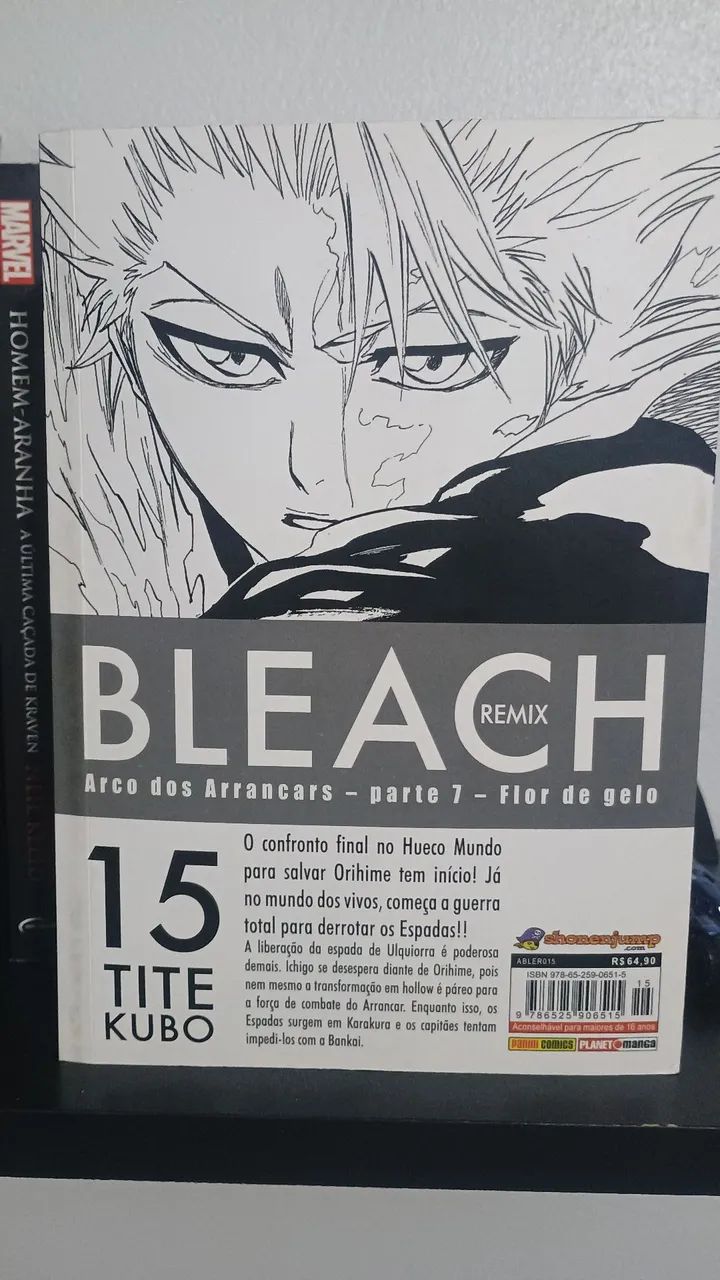 Bleach Vol. 15 - Remix  - Foto 2
