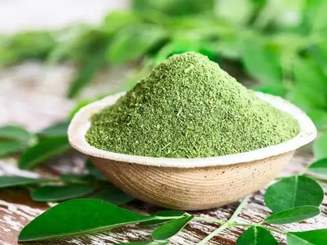 Farinha de Moringa Oleífera, Folhas e Sementes A partir de 100g Enviamos para todo Brasil. - Foto 2