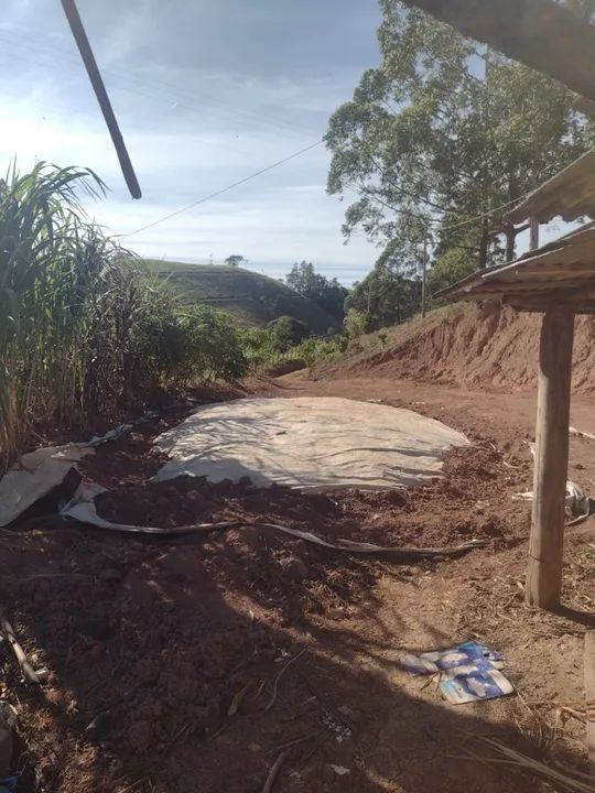 Sítio com casa e área verde em região tranquila - Foto 2