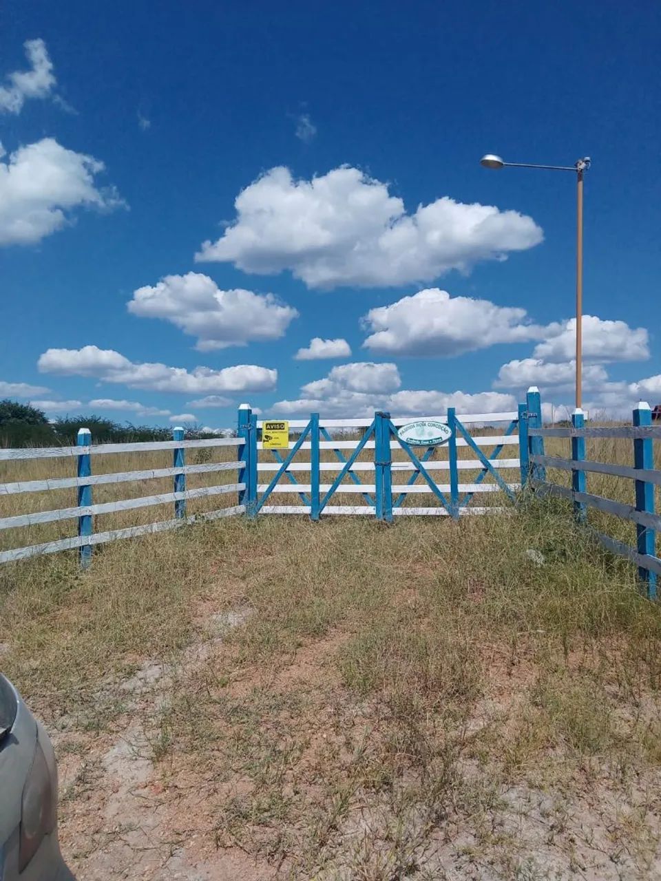 Fazenda 98 Tarefas Brejões-BA Excelente Terreno Oportunidade Negócio Rural roça - Foto 8