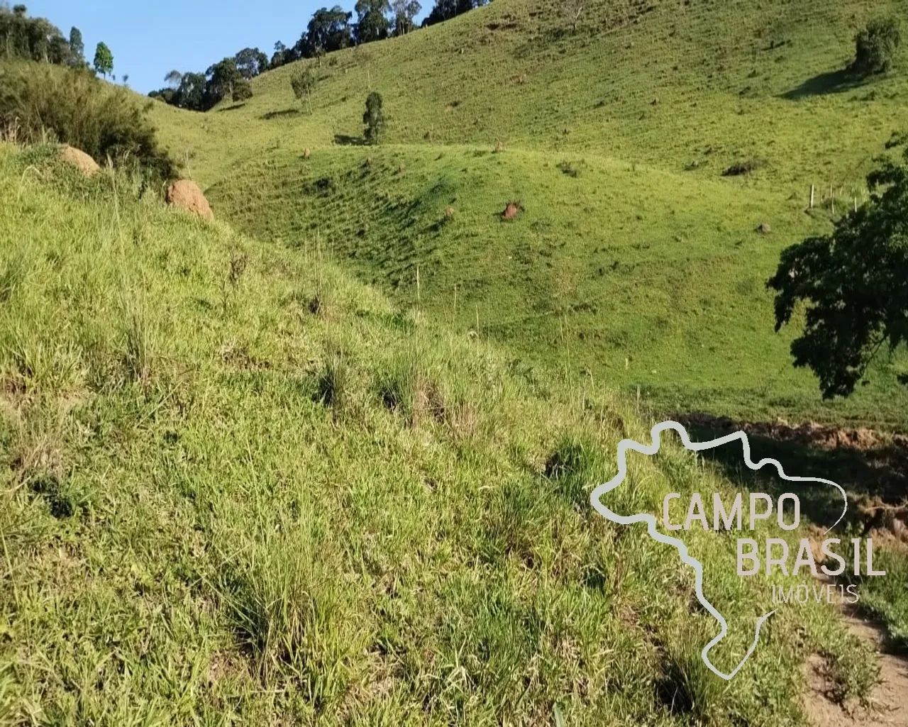 SÍTIO 23 ALQUEIRES EM TAUBATÉ ! - Foto 3
