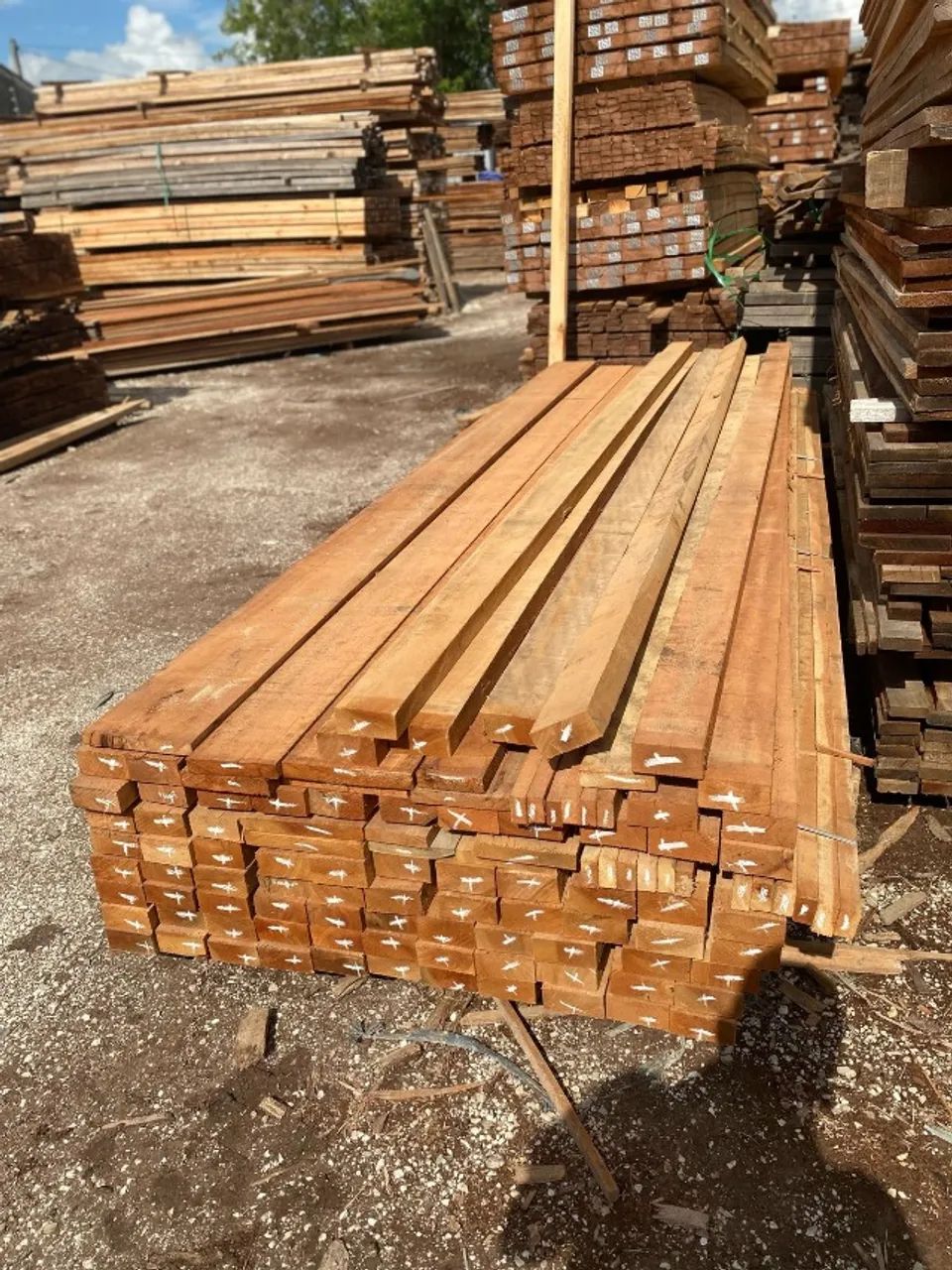 Viga Cambará legitimo