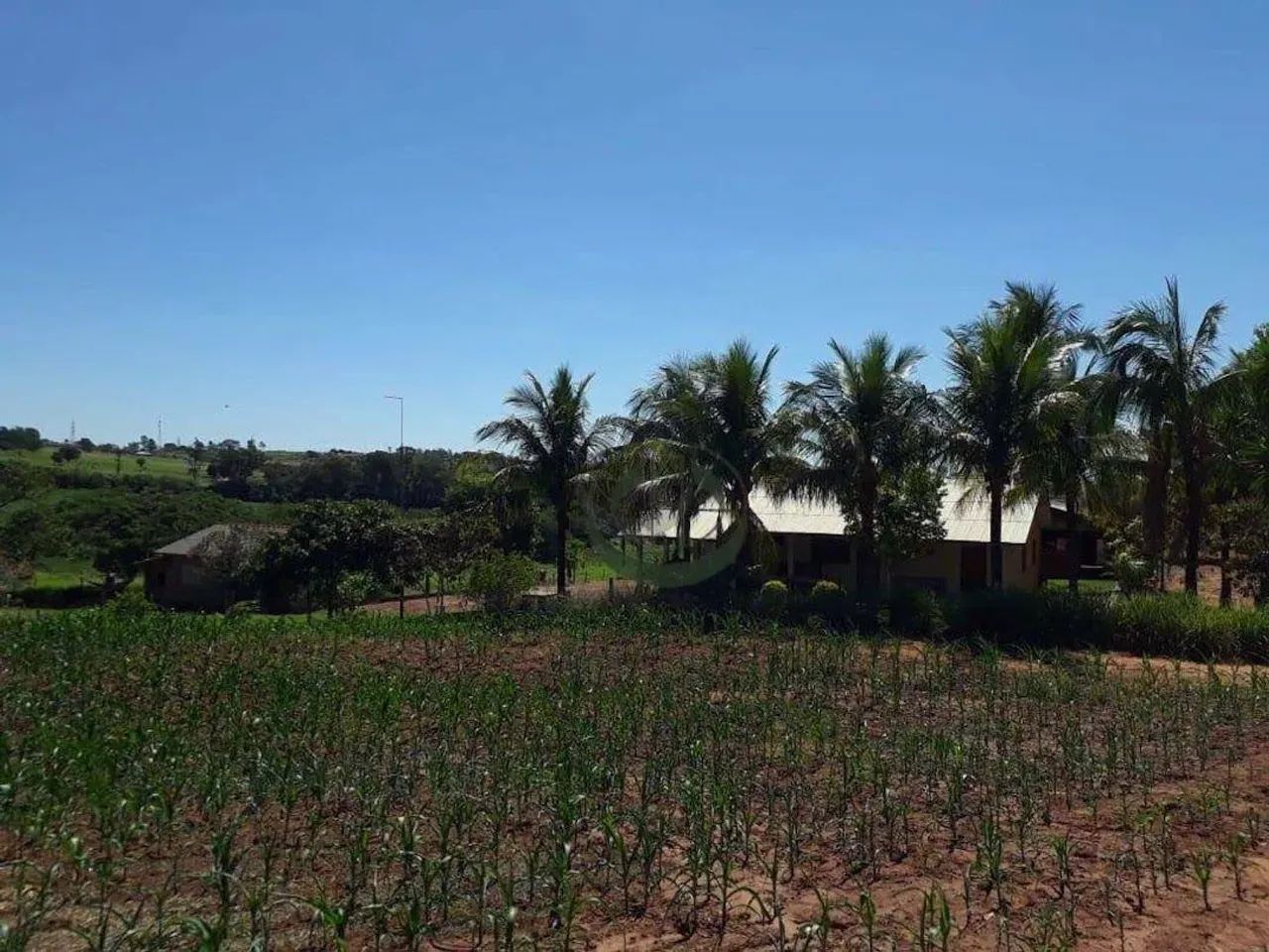 Fazenda à venda, 919600 m² por R$ 22.000.000,00 - Vila - Astorga/PR - Foto 2