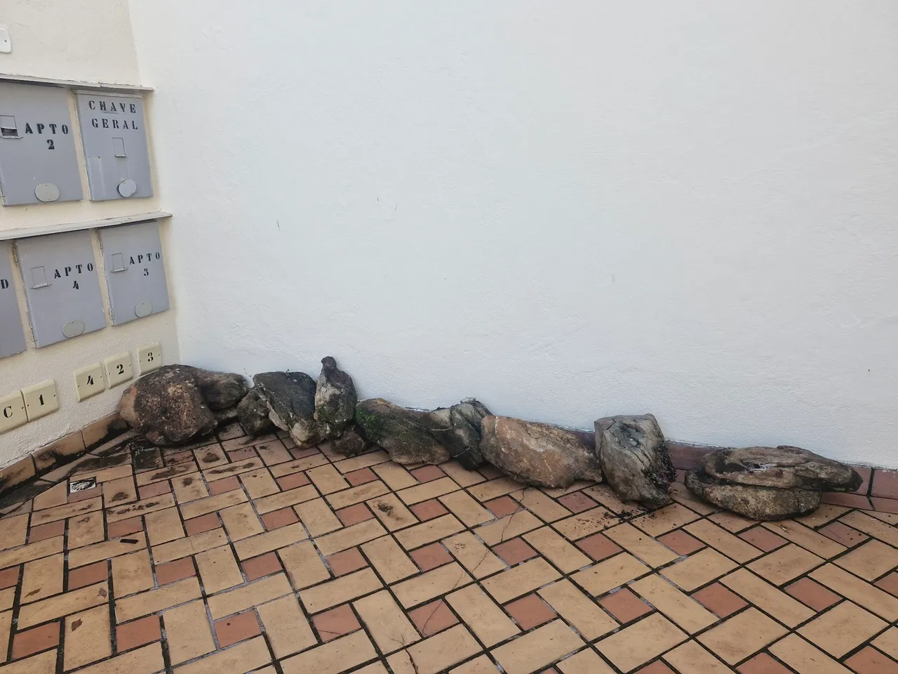 Rochas para jardim DOAÇÃO