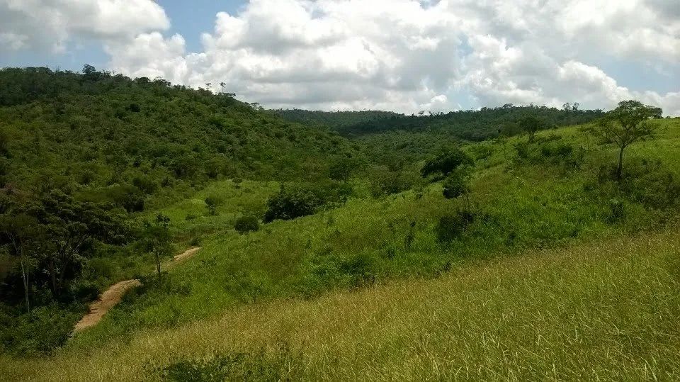 Fazenda  para venda. Com 1.419 ha em Jequitibá - Mundo Novo - BA. - Foto 3