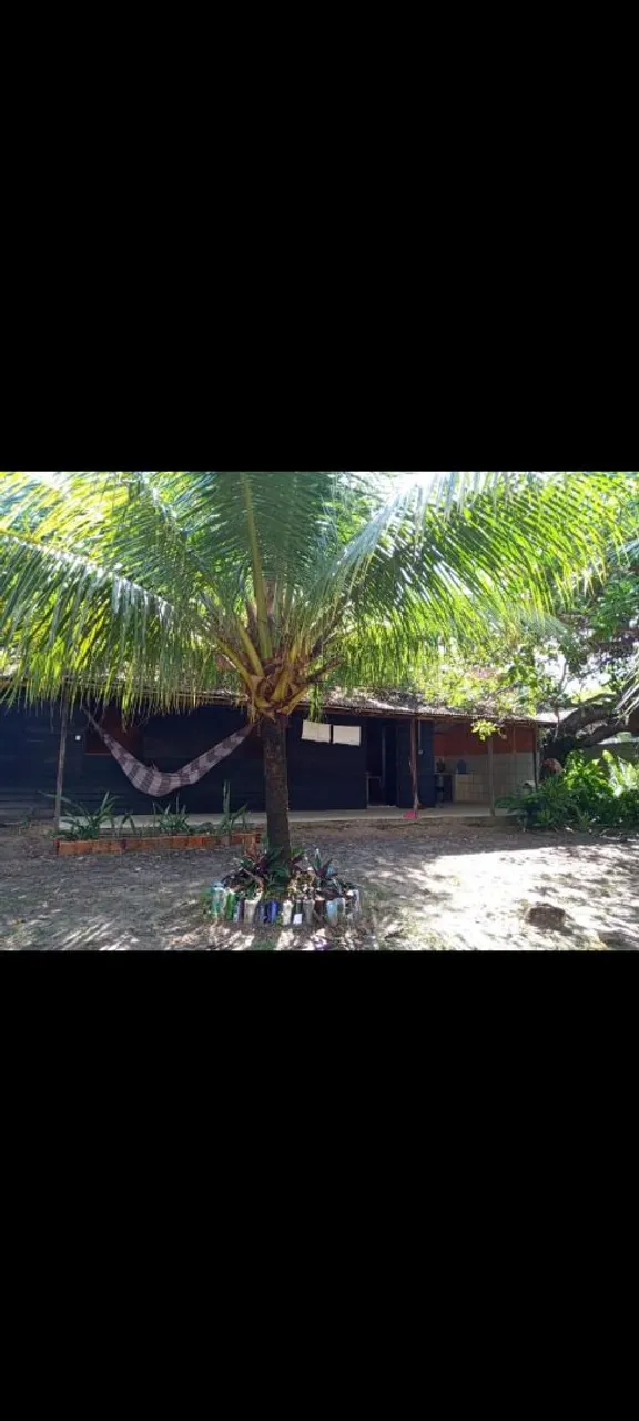 Casa na ilha de Algodoal Pa, temporada de férias 2025