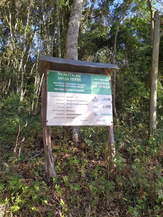 Sítio com 3 hectares na Serra Verde - Foto 2