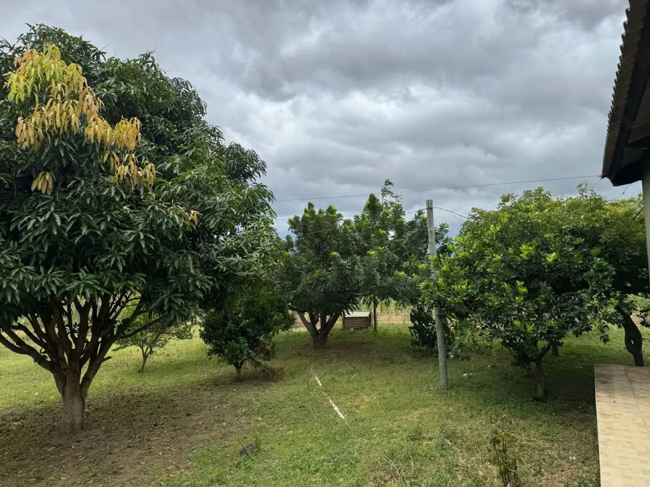 $ Chácara com 7.200m² e Casa de Campo  Pronta para Usar! | - Foto 12