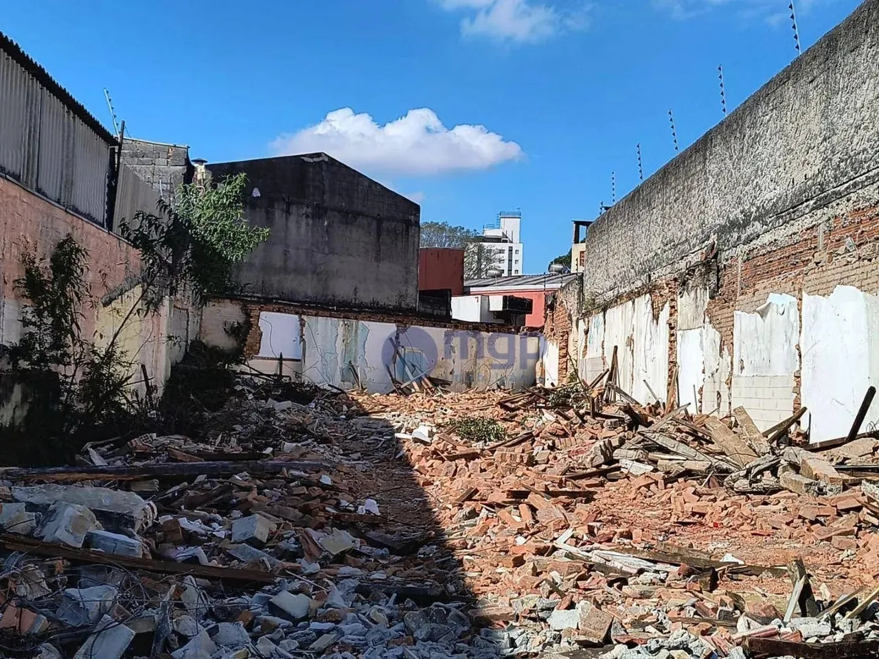 Terreno para locação no Parque Novo Mundo - 400 m² - São Paulo/SP