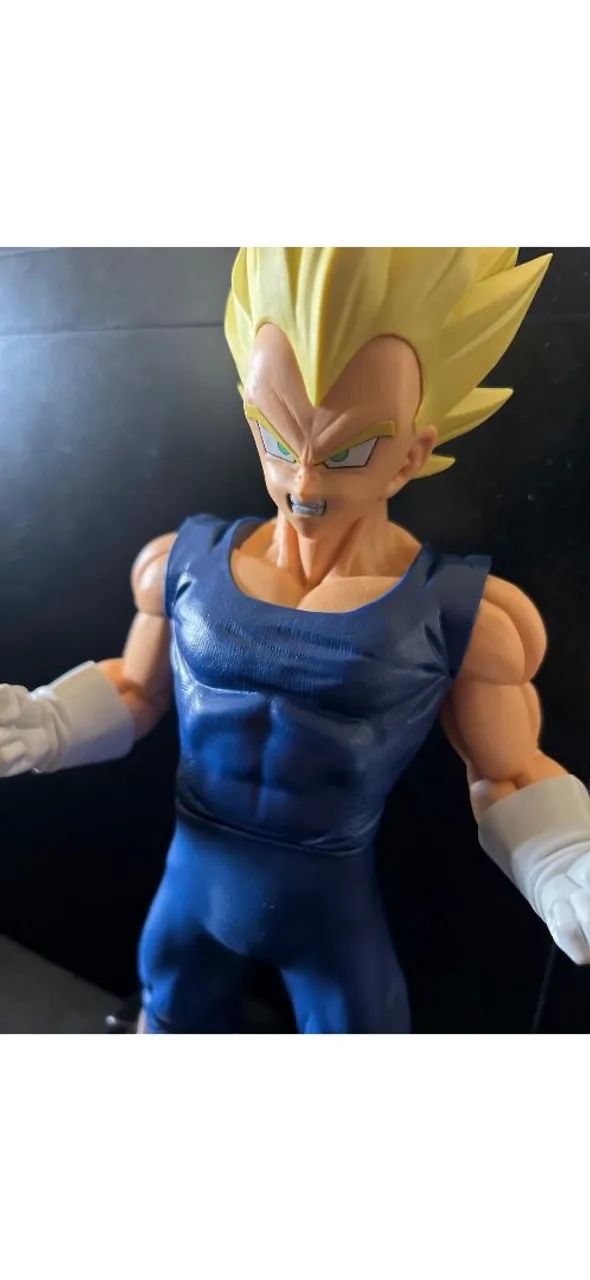 Vegeta grandista com caixa - Foto 3