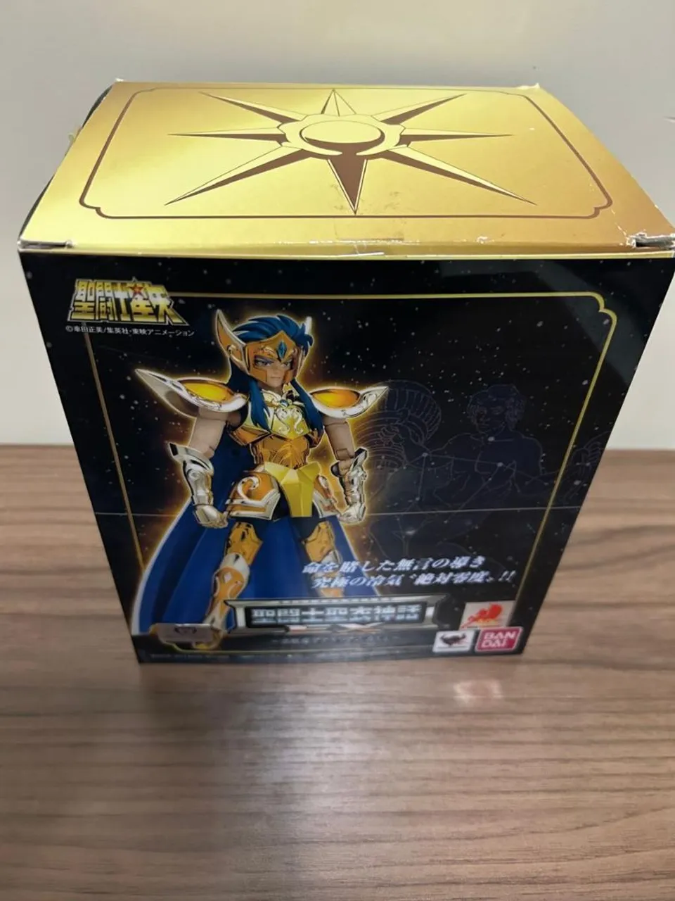 Cloth myth camus de Aquário ex bandai
