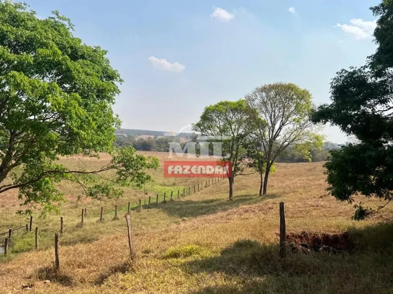 Chácara 7,5 Alqueires (36 Hectares) Brazabrantes - GO - Foto 5