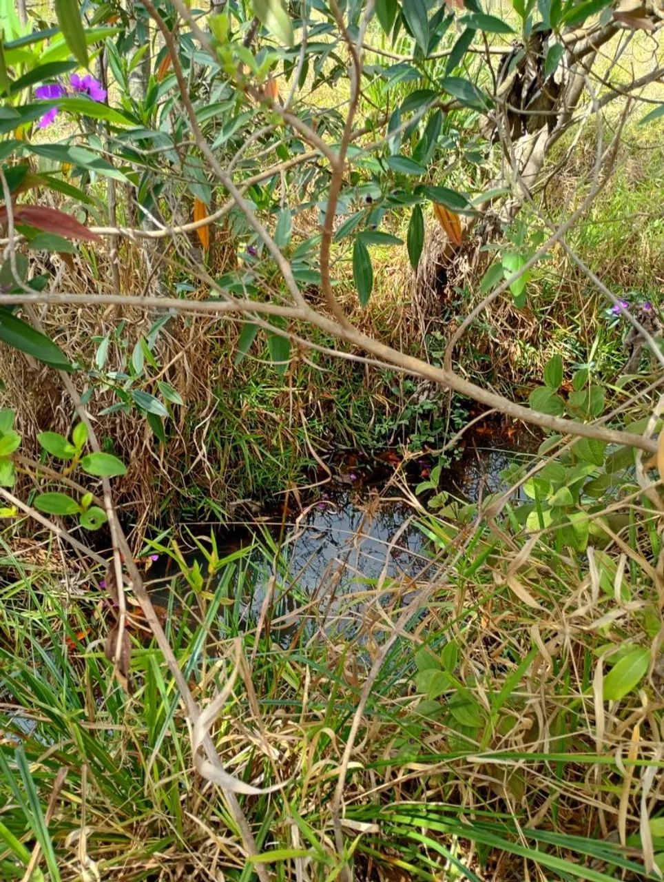 Terreno em serra azul Mateus leme 