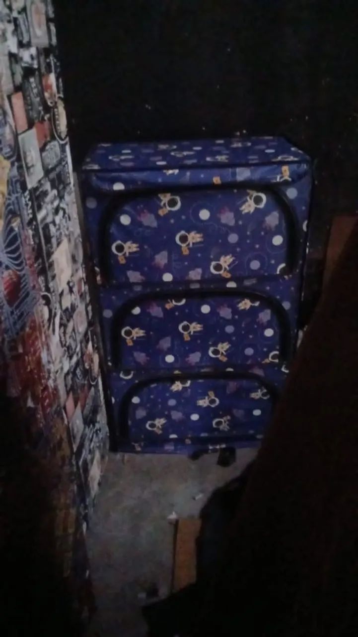 sapateira  - Foto 4