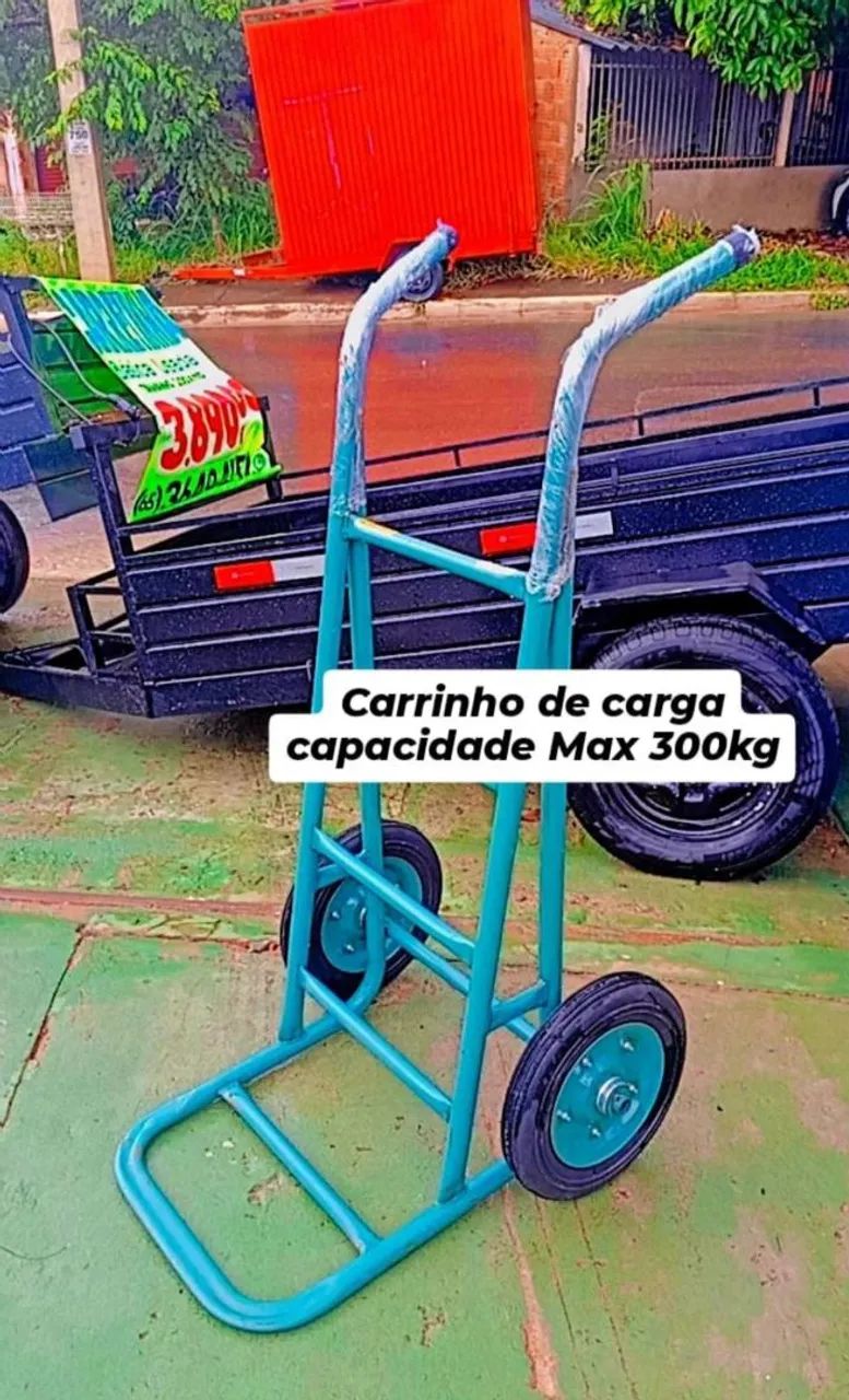 Carrinho de carga 300kg
