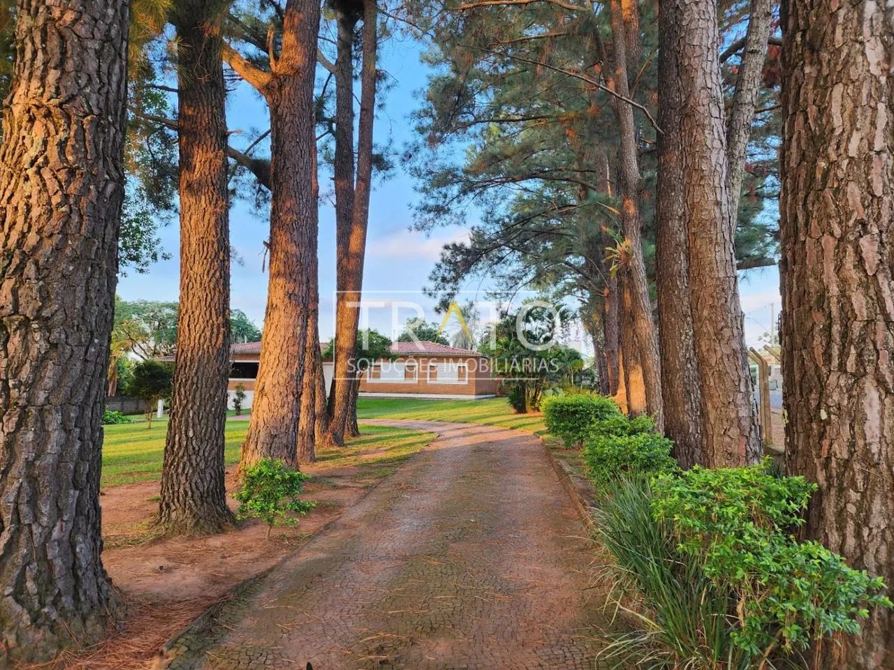 área - Parque Taquaral - Campinas - Foto 2