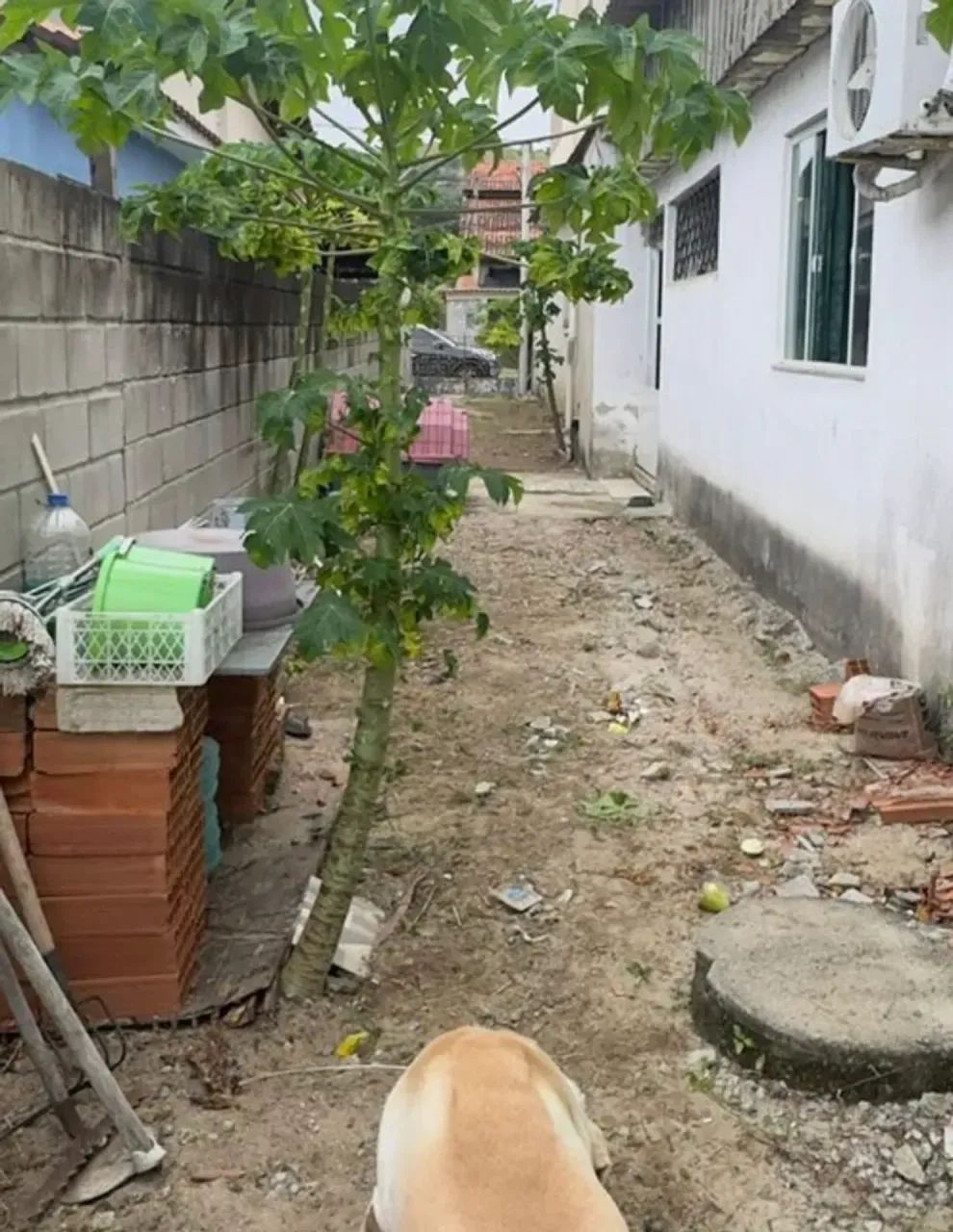 vendo terreno em campo grande - Foto 4