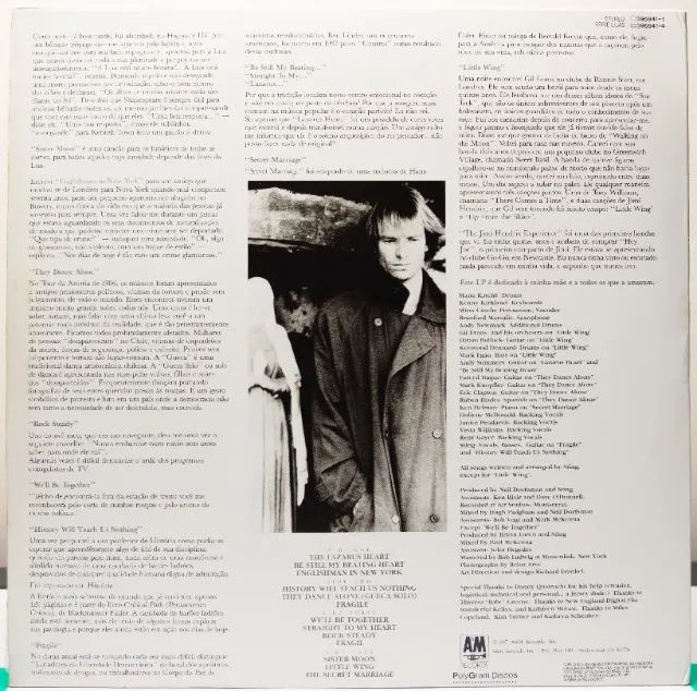 DISCO VINIL DUPLO - STING - NOTHING LIKE THE SUN - Foto 2
