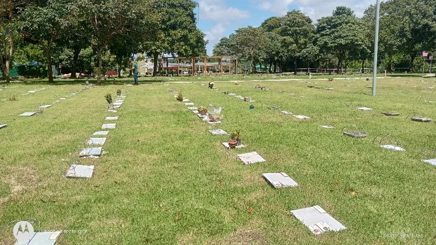 Venda de Jazigo - Foto 5