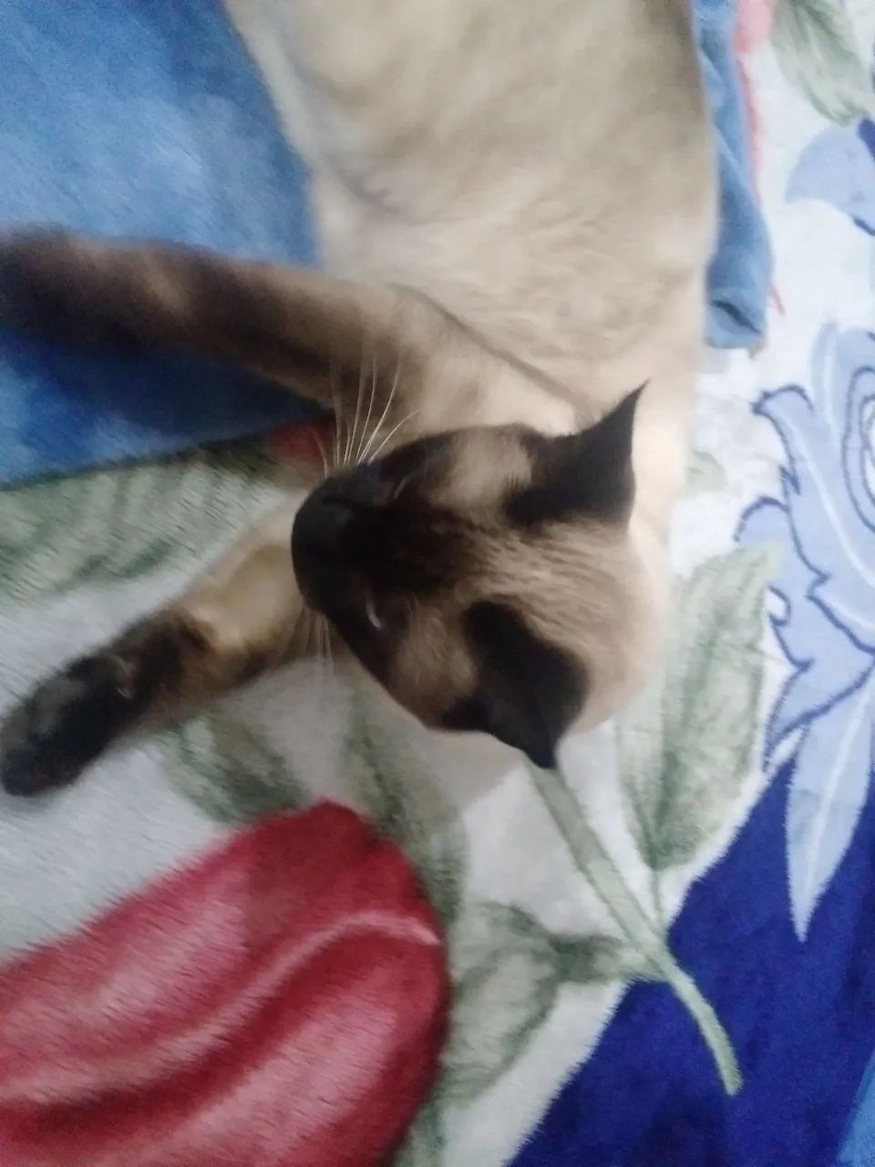 Doação 