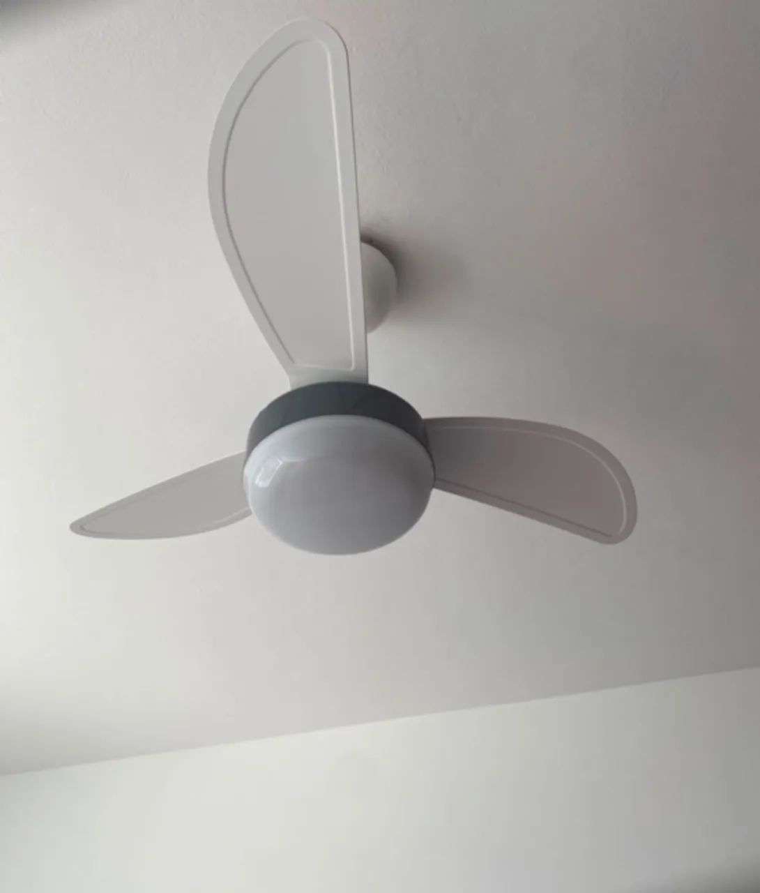 Ventiladores de Teto