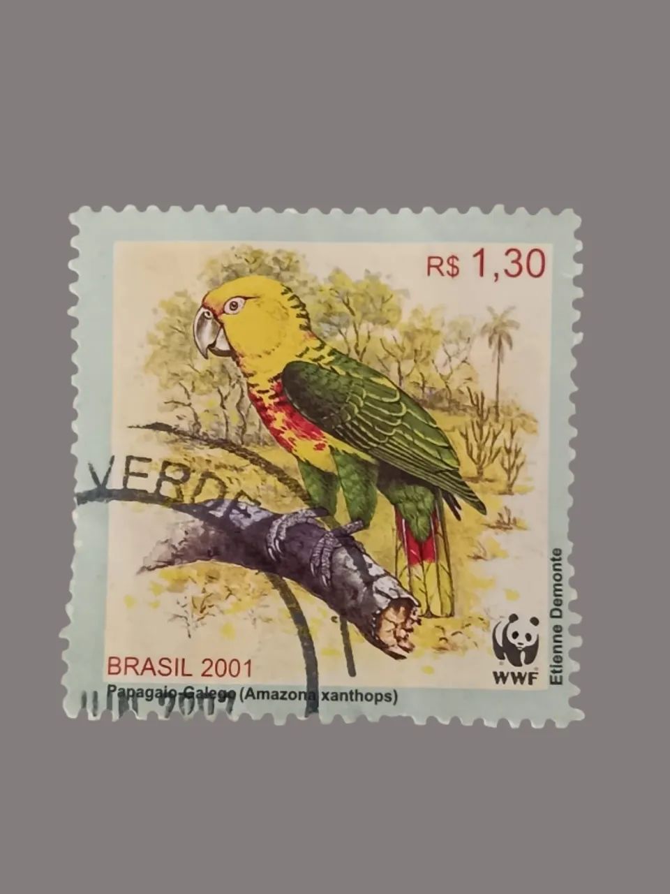 Selo Postal - Papagaio Galego - WWF