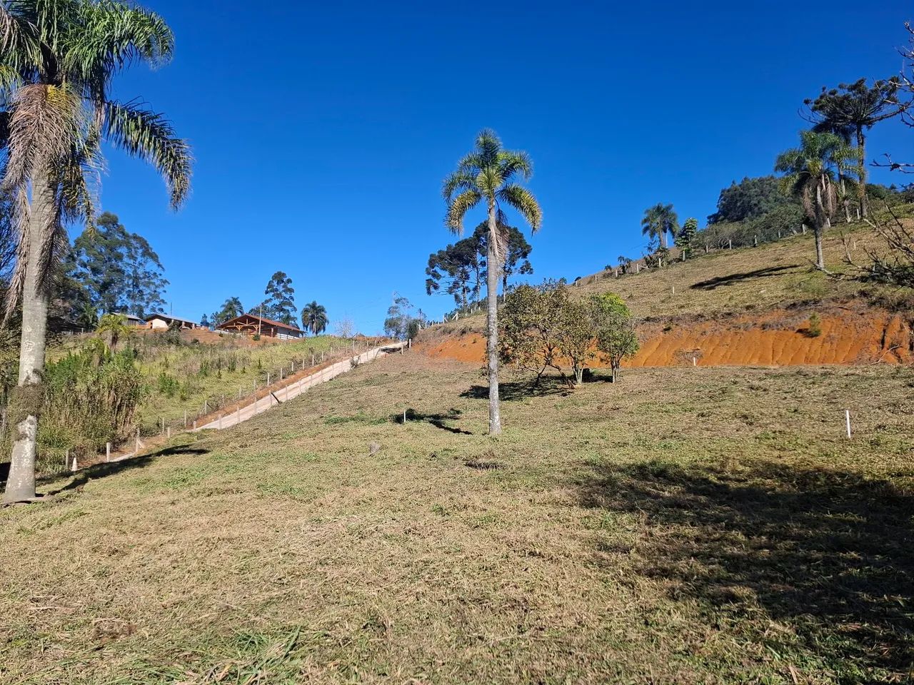 Vendo terreno em São Bonifácio. 1148m2 - Foto 4