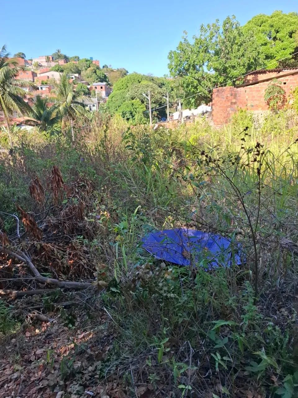 TERRENO EM GUAXUMA/MACEIO - Foto 2