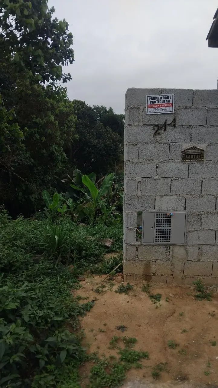 Terreno chacrinha - Foto 4