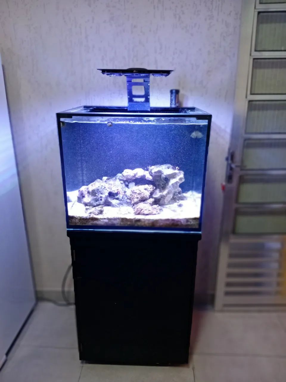 Aquário marinho  - Foto 3