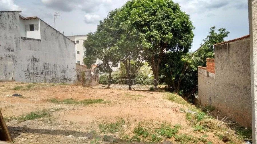 TERRENO,0 Dormitorio(s) bairro Europa - Foto 3